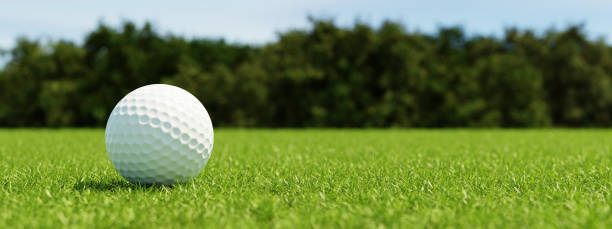 The Modern Fairway